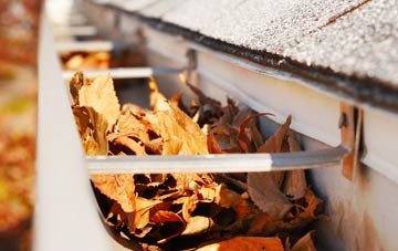 Birch Berrow gutter cleaning companies